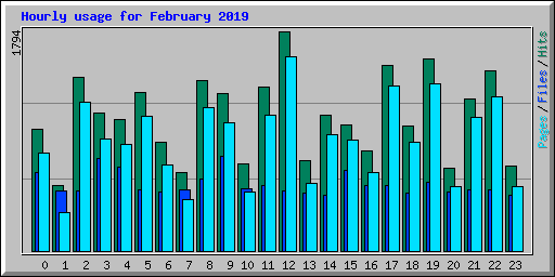 Hourly usage for February 2019